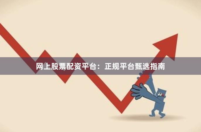网上股票配资平台：正规平台甄选指南