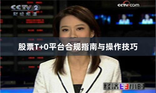 股票T+0平台合规指南与操作技巧