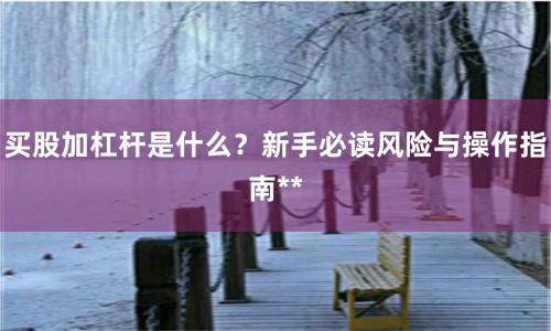 买股加杠杆是什么？新手必读风险与操作指南**